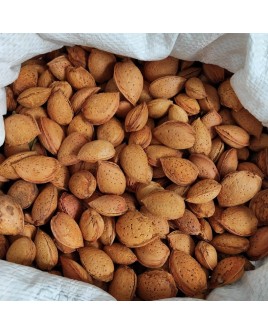 Amandes en coques - 1 kg