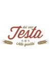 Testa